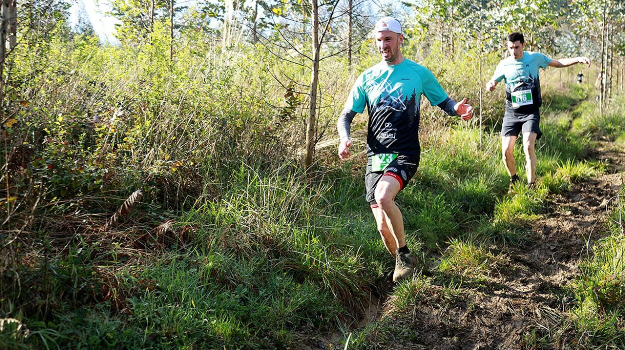 protocolo rice esguince